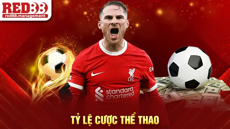 Tỷ lệ cược thể thao Red88